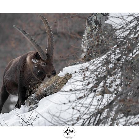 Appartamento Lo Bou Valsavarenche Bagian luar foto