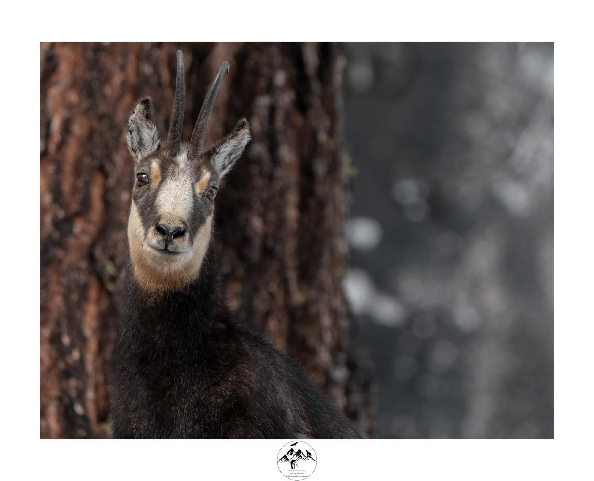 Appartamento Lo Bou Valsavarenche Bagian luar foto